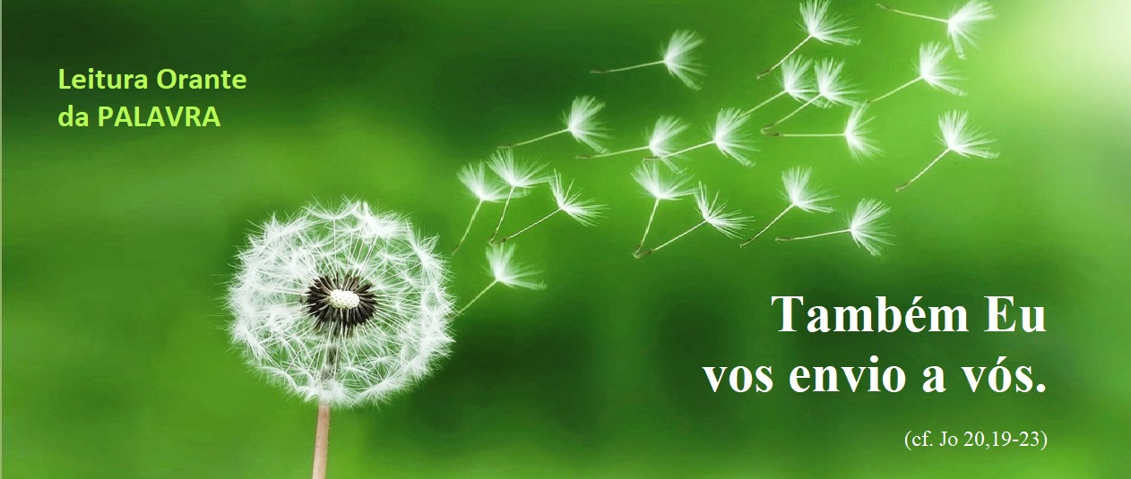 8 PENTECOSTES CC